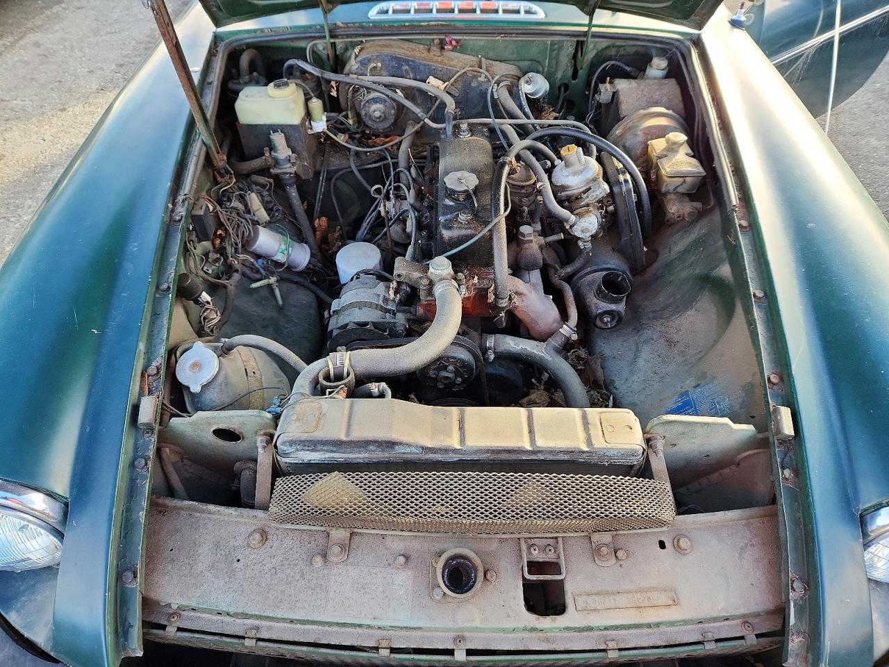 Mg B