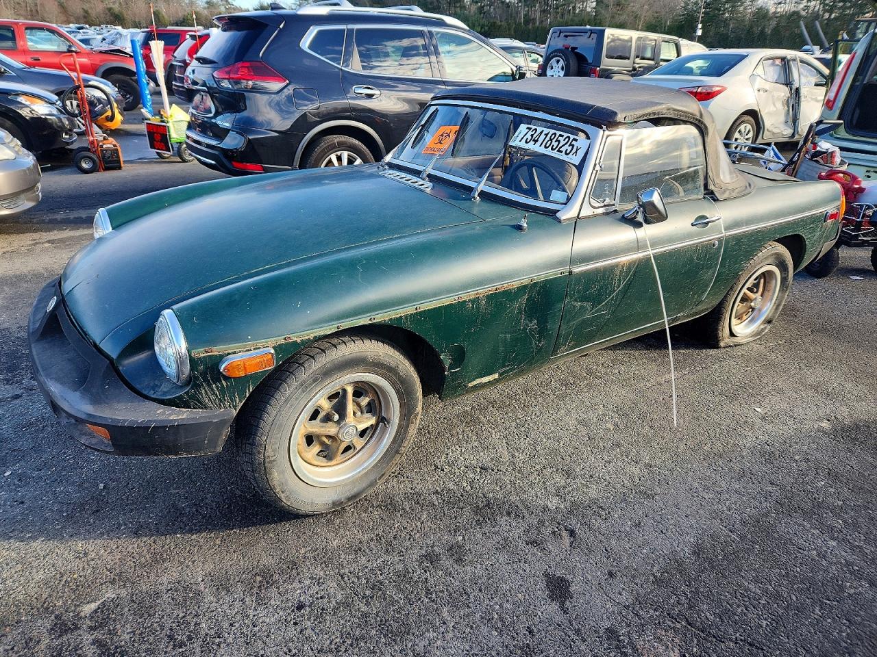Salvage Mg B Image
