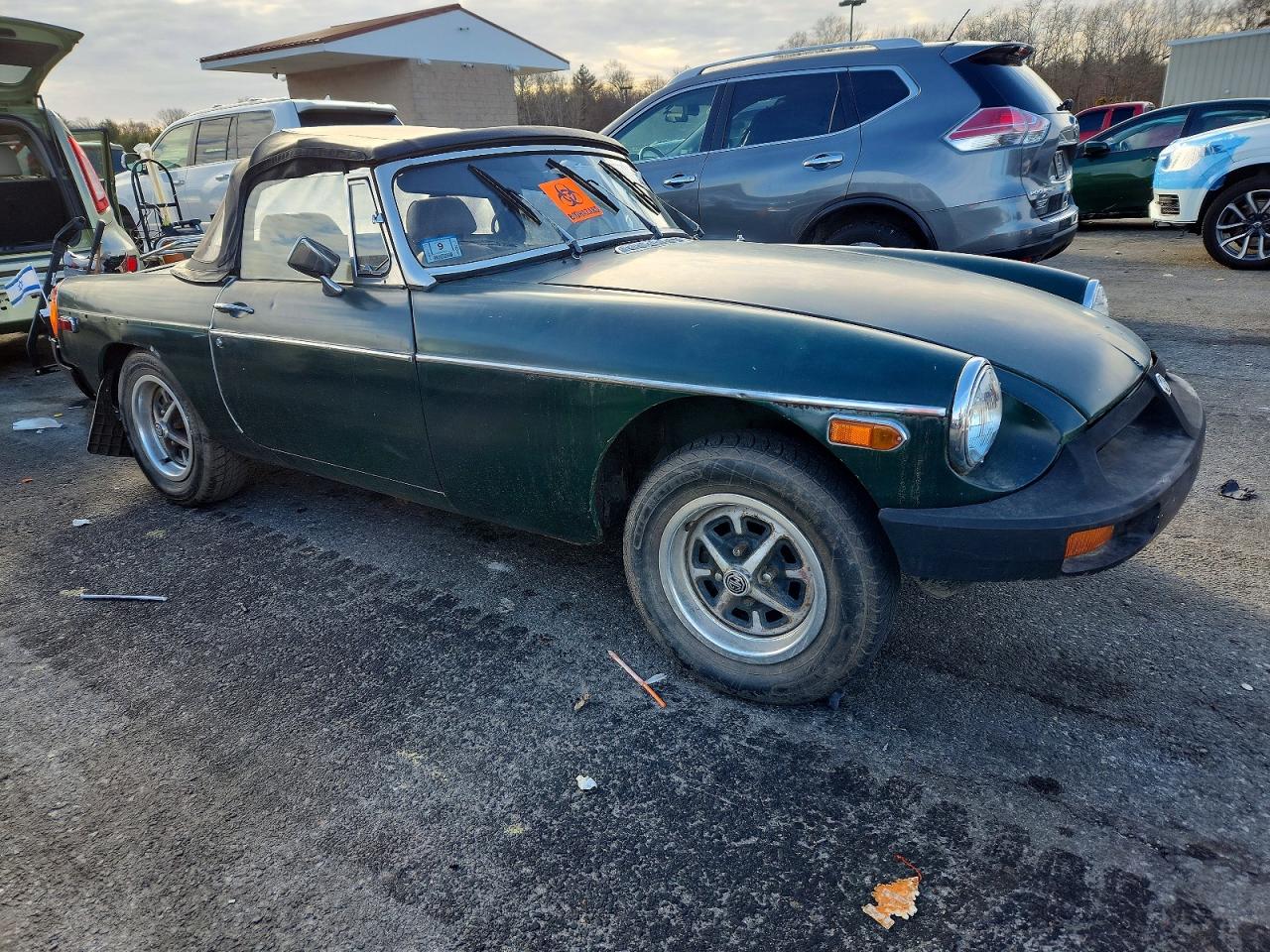 Mg B