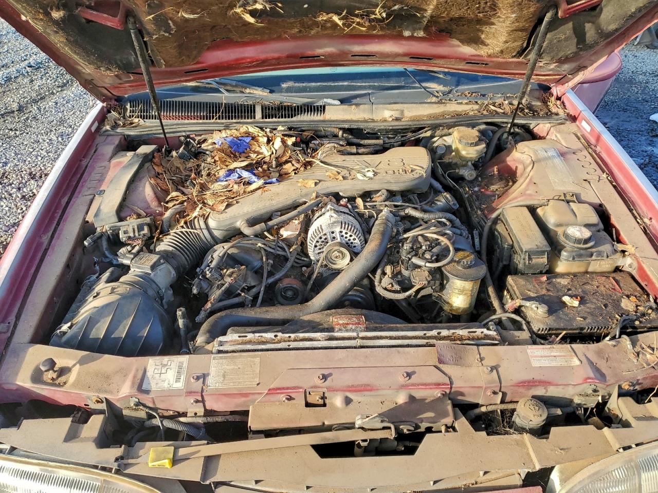 Ford Thunderbird Lx
