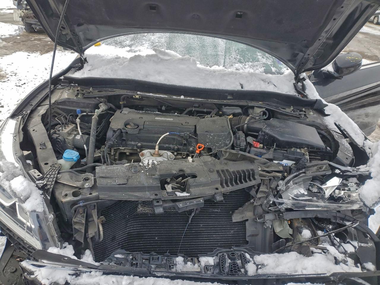 Honda Accord Exl