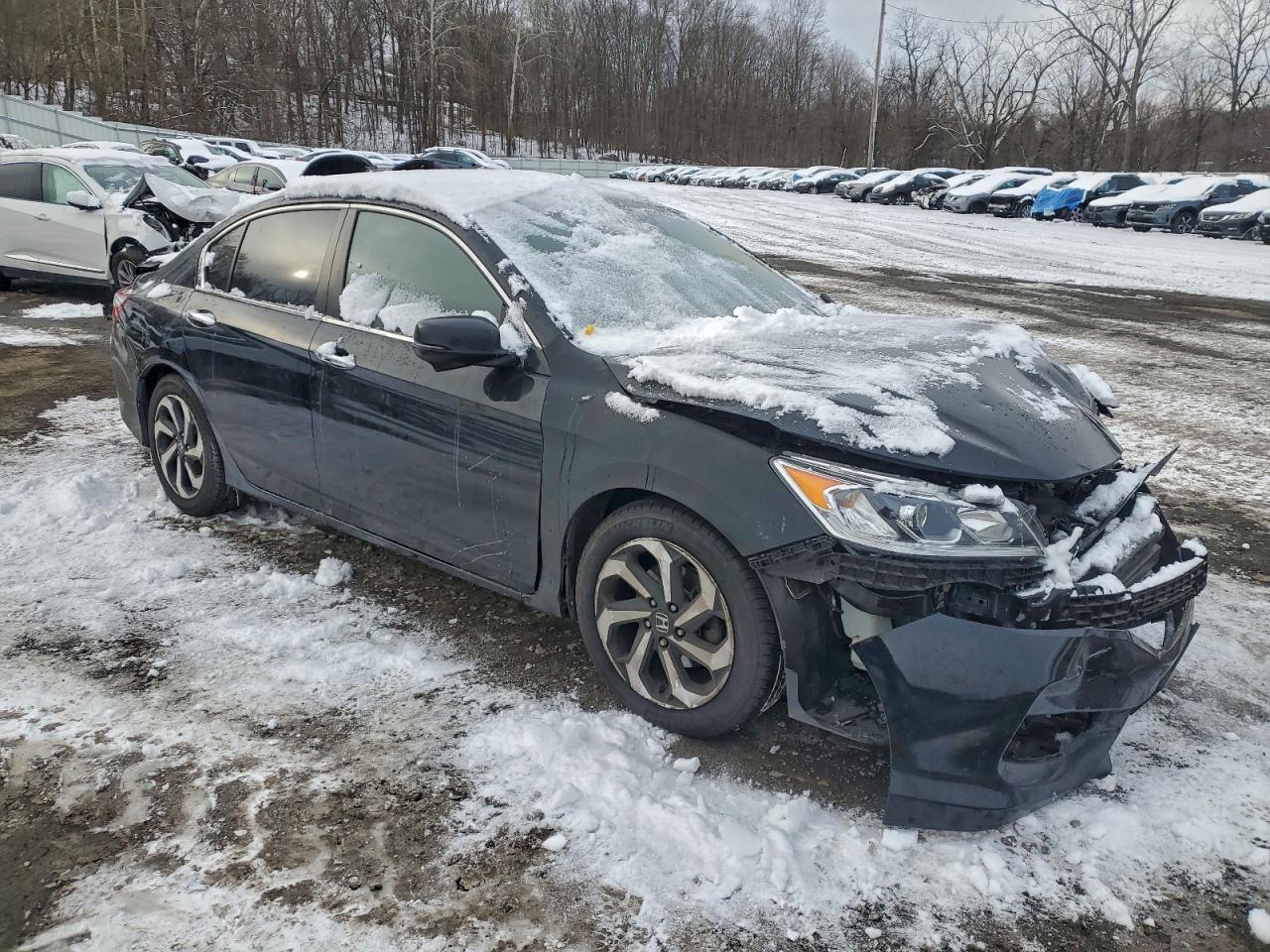 Honda Accord Exl