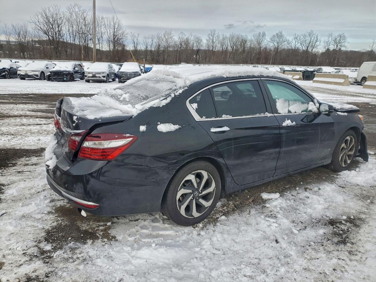 Honda Accord Exl