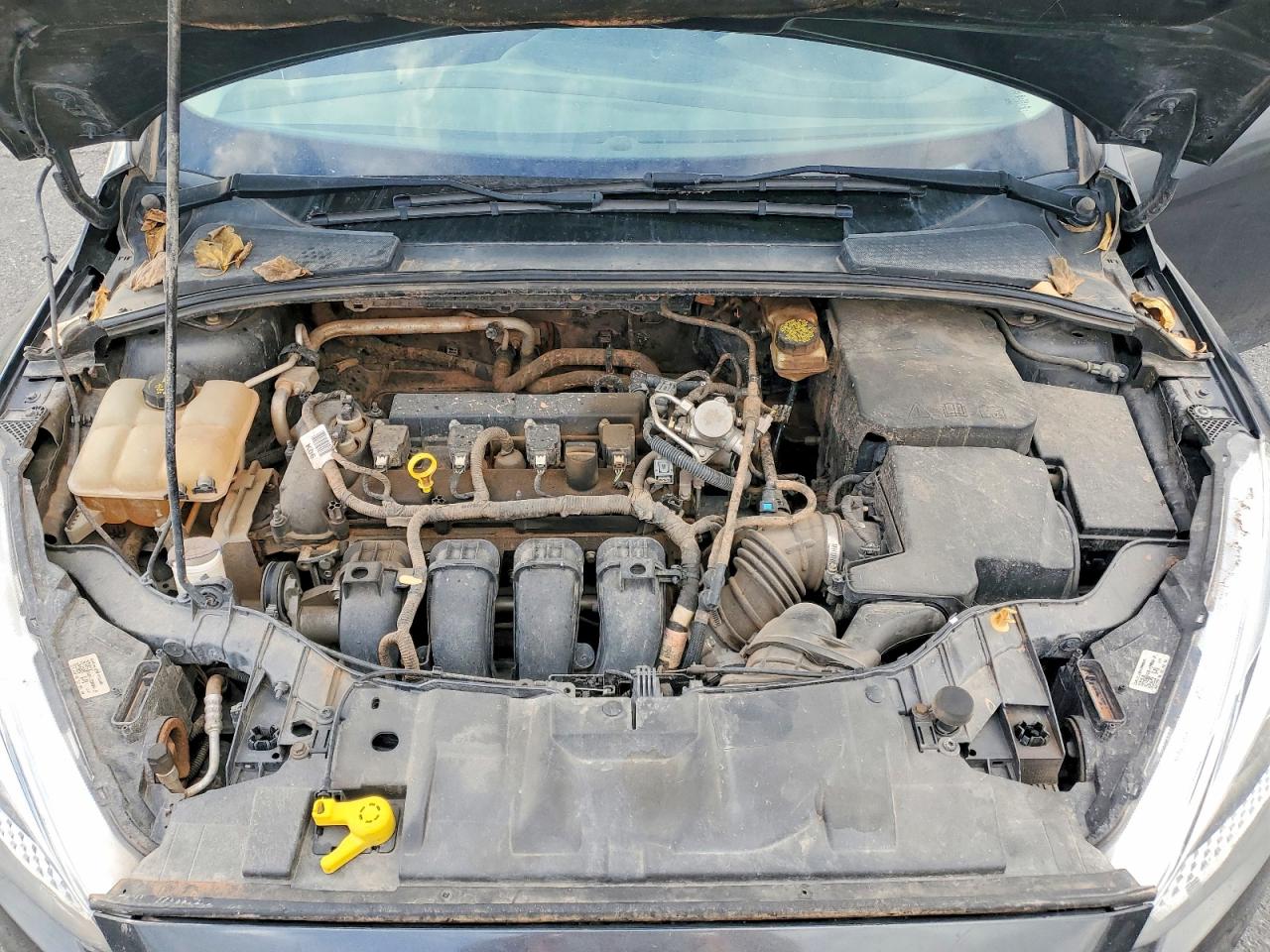 Ford Focus Se