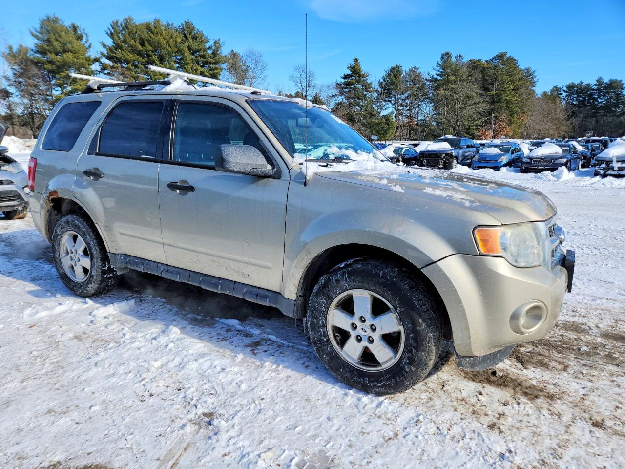Ford Escape Xlt