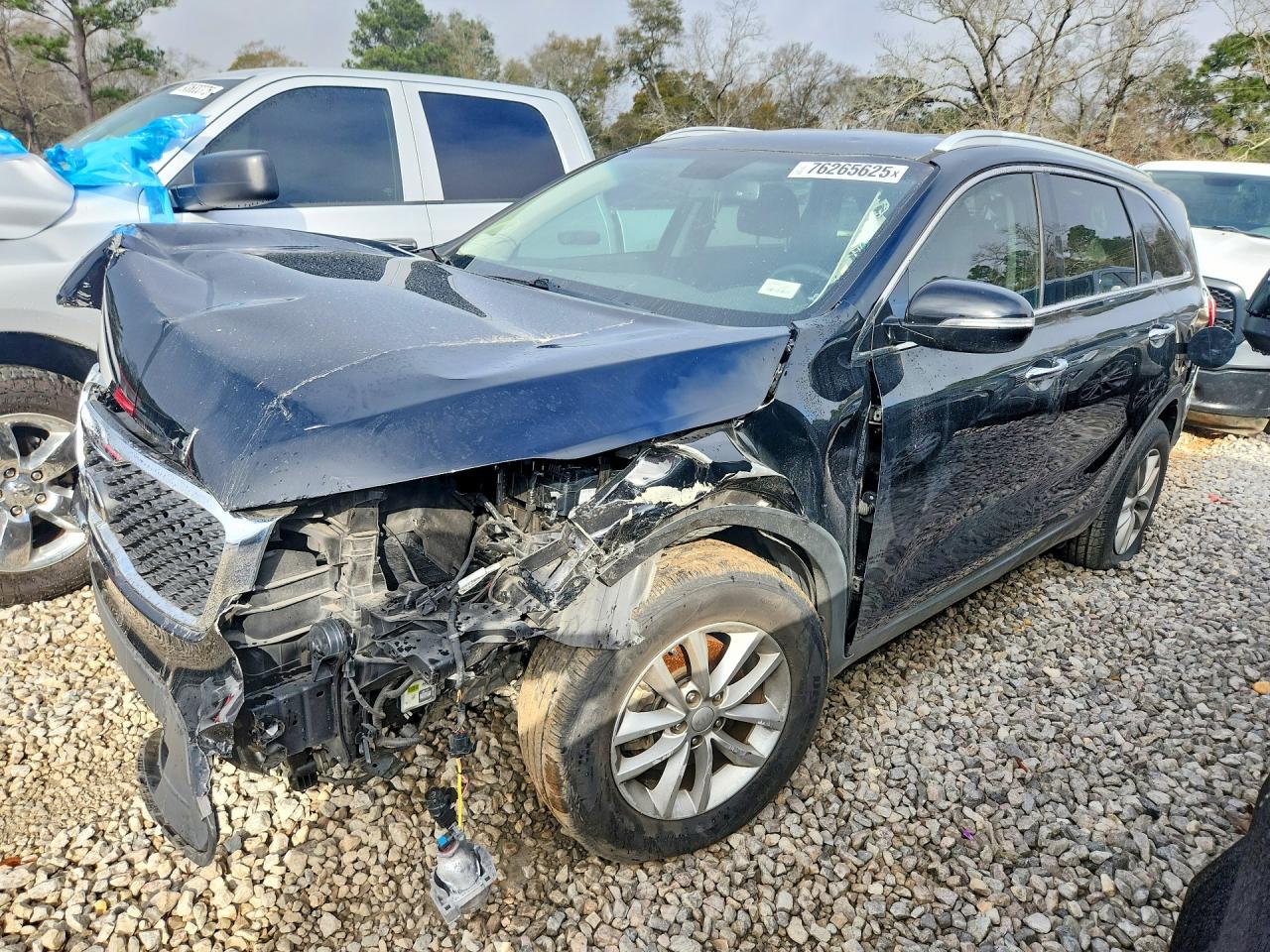 Salvage Kia Sorento Image