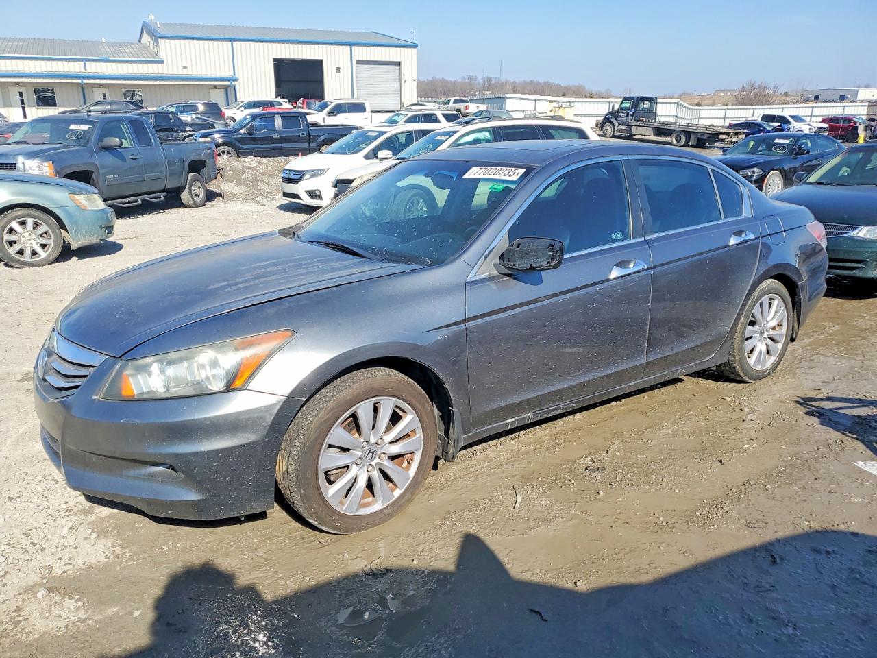 Salvage Honda Accord Image