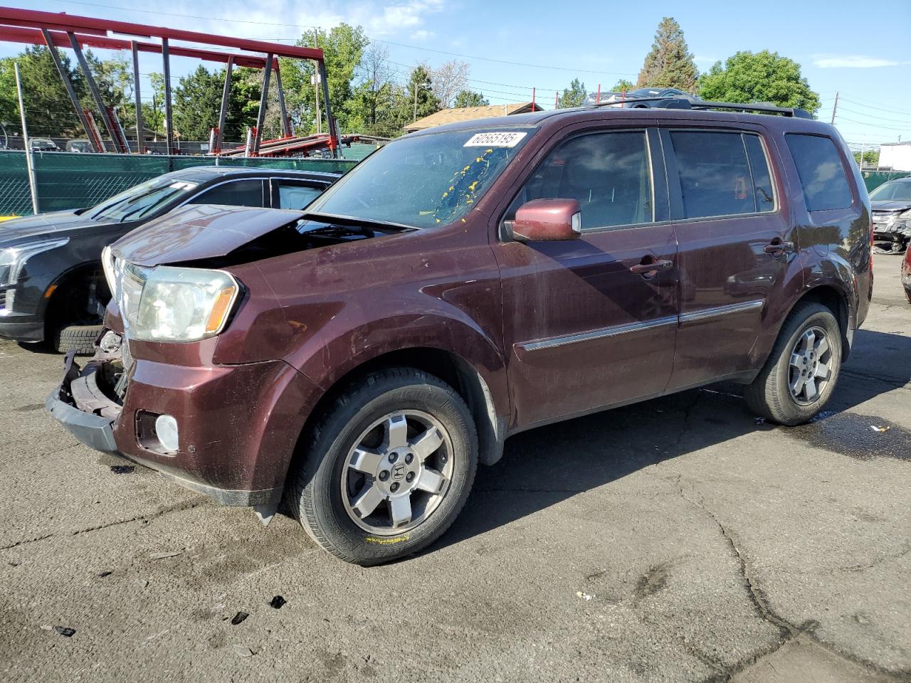 Salvage Honda Pilot Image