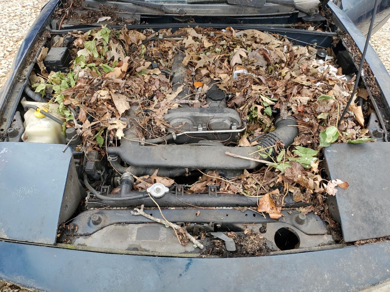 Mazda Mx5