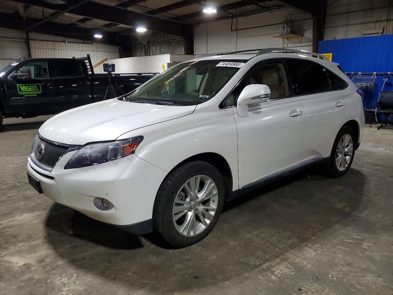 Salvage Lexus RX Image