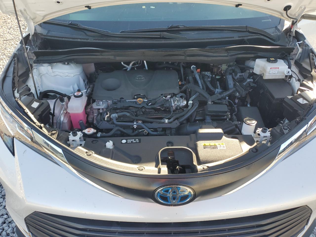 Toyota Sienna Xle