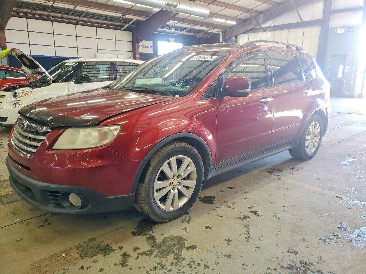 Salvage Subaru Tribeca Image