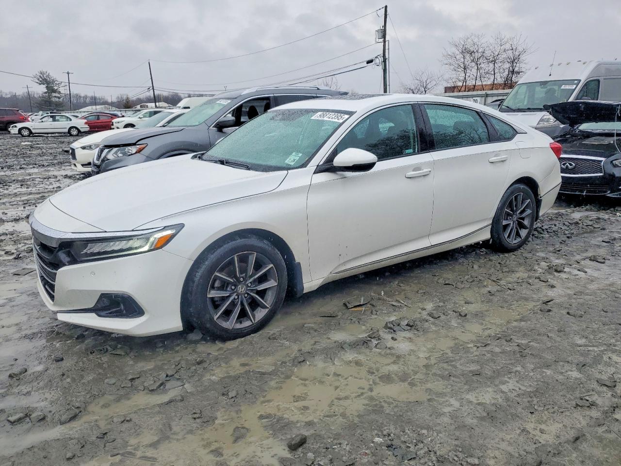 Salvage Honda Accord Image