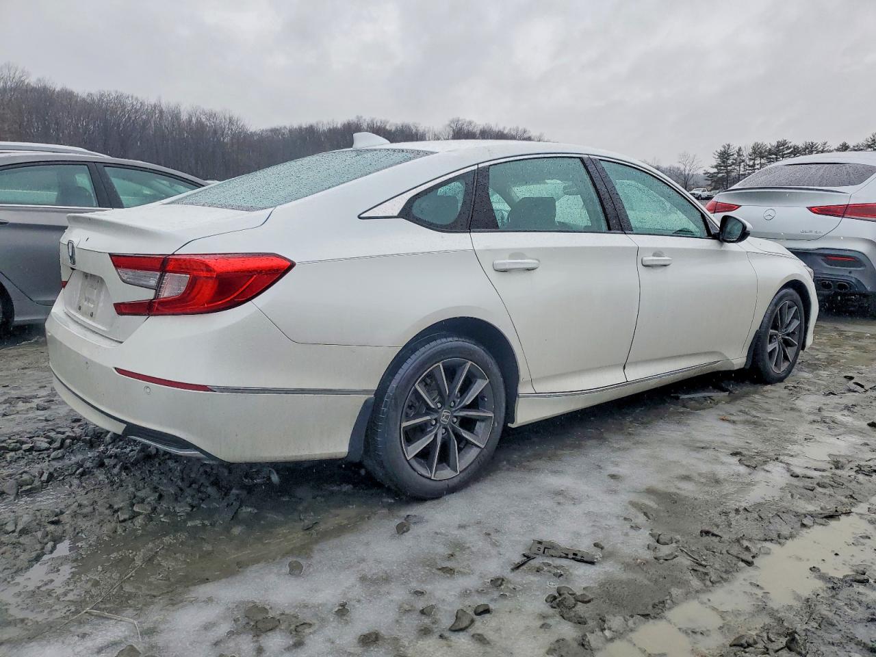 Honda Accord Exl