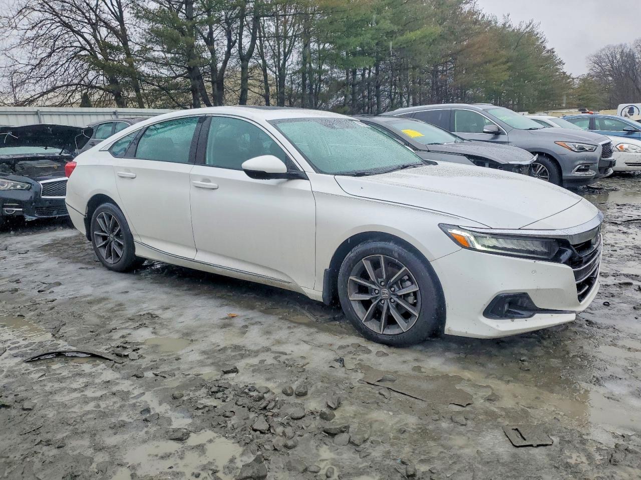 Honda Accord Exl