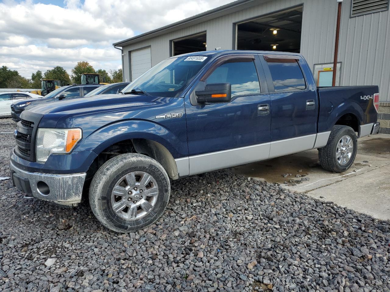 Salvage Ford F-150 Image