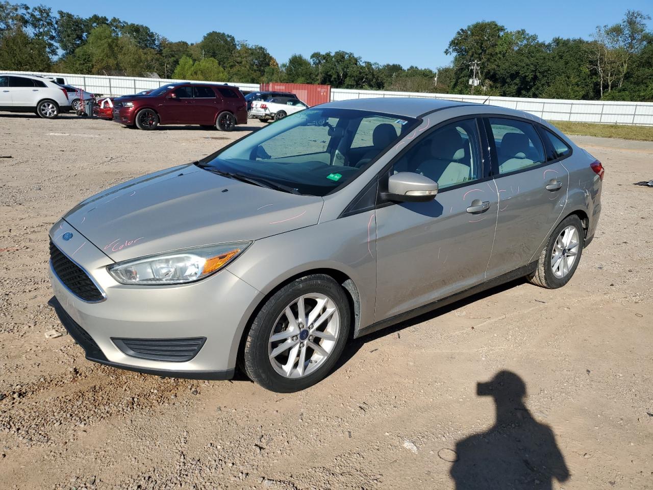 Salvage Ford Focus Image