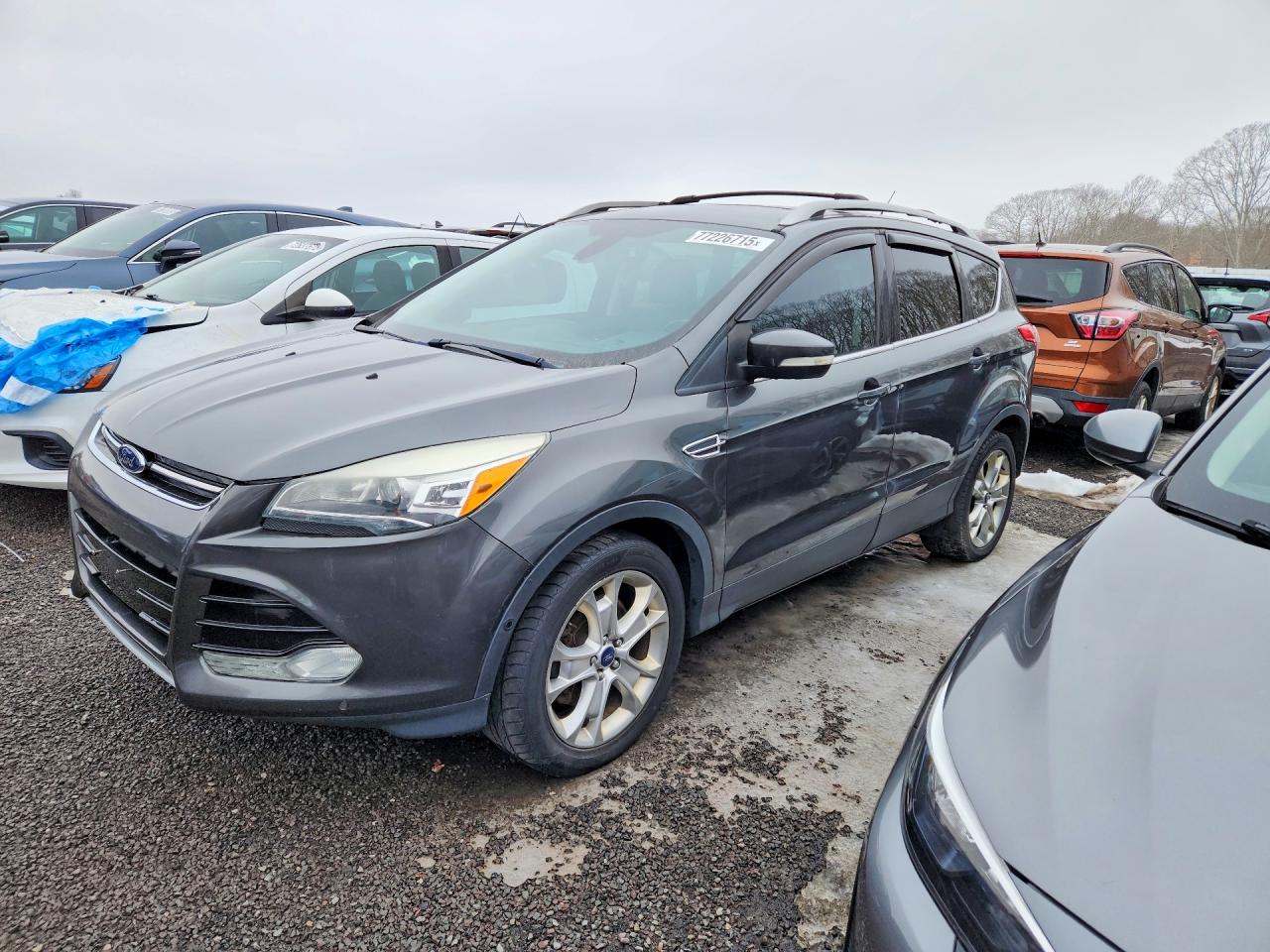 Salvage Ford Escape Image