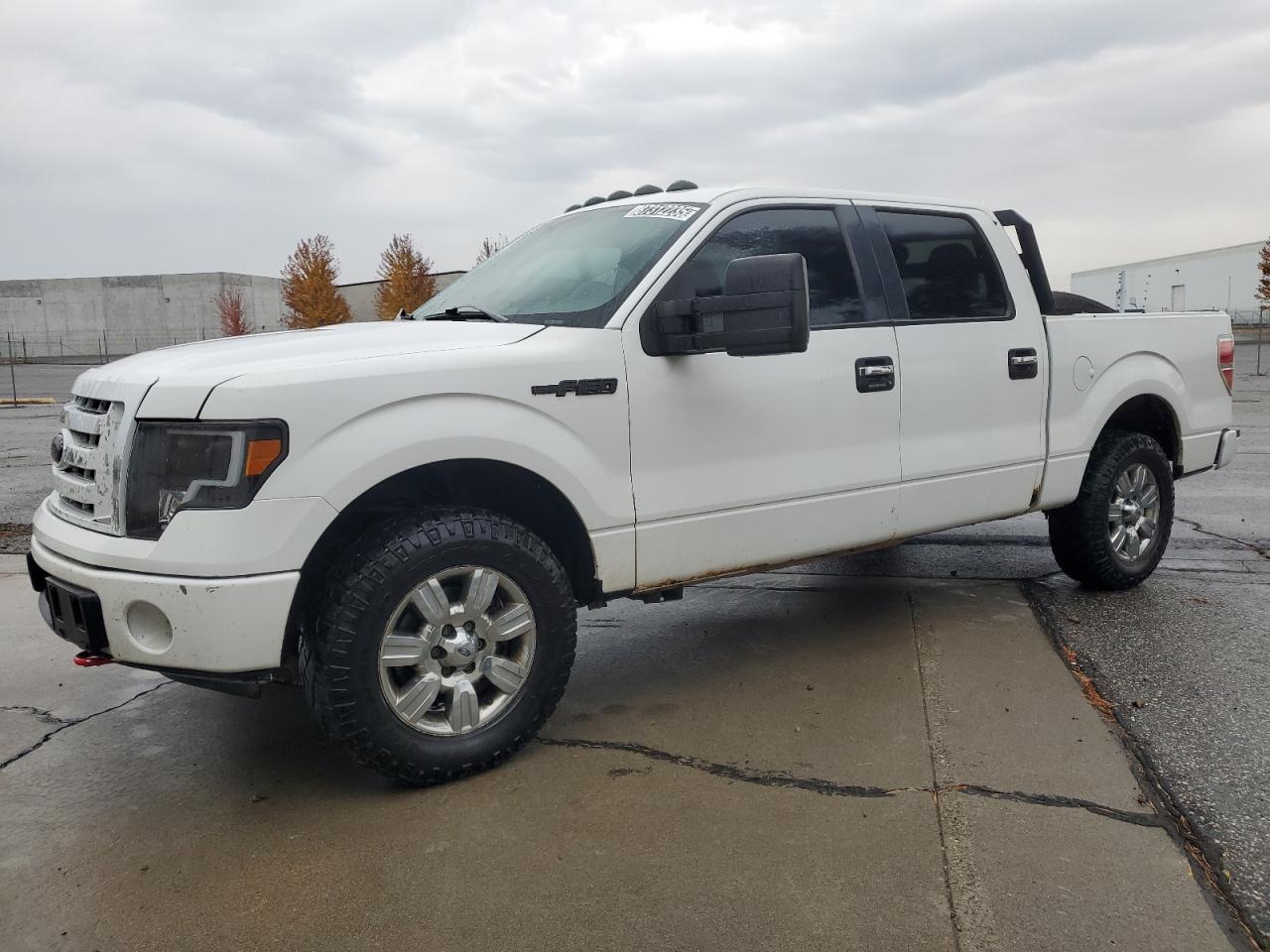 Salvage Ford F-150 Image