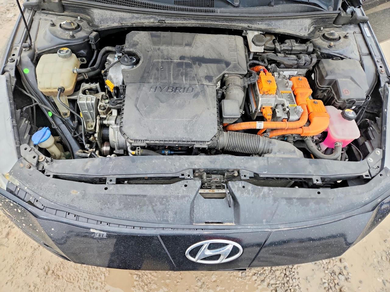 Hyundai ELANTRA Blue