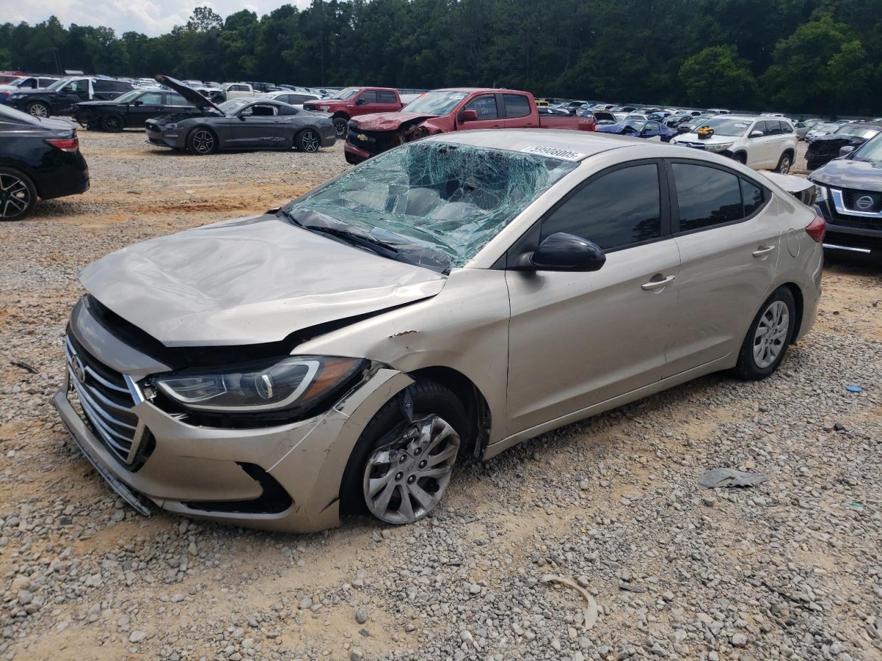 Salvage Hyundai ELANTRA Image