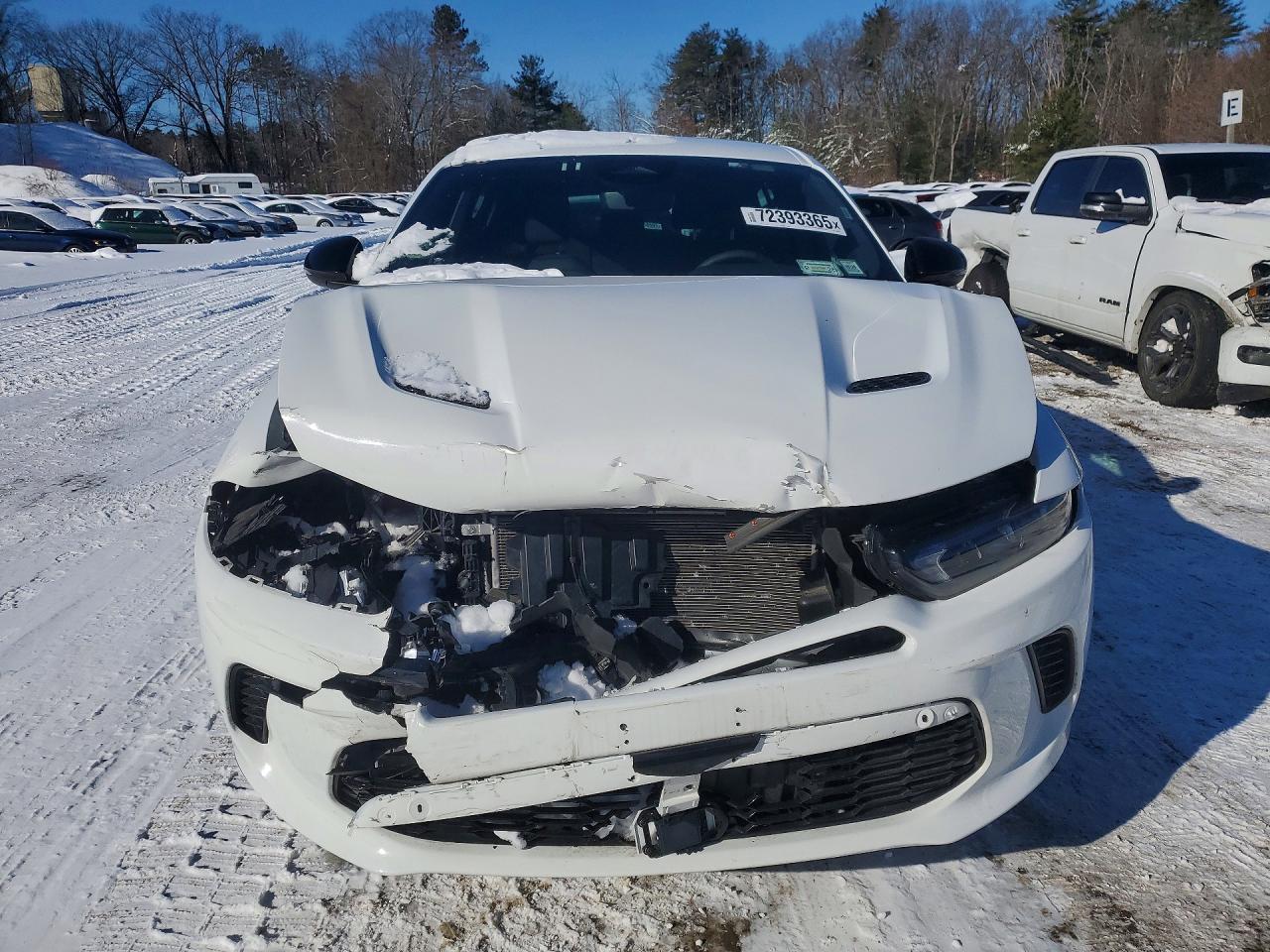 Dodge Hornet R T R
