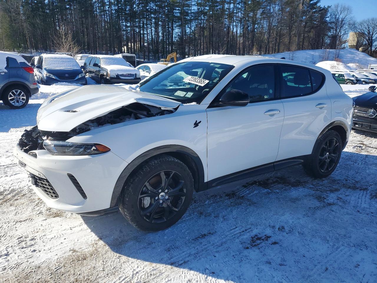 Salvage Dodge Hornet R T Image