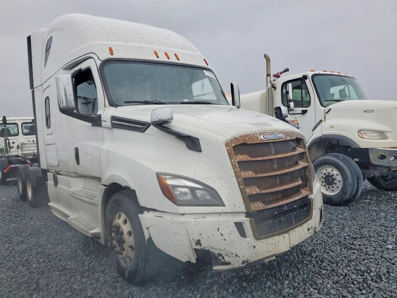 Salvage Freigliner Cascadia 126 Image