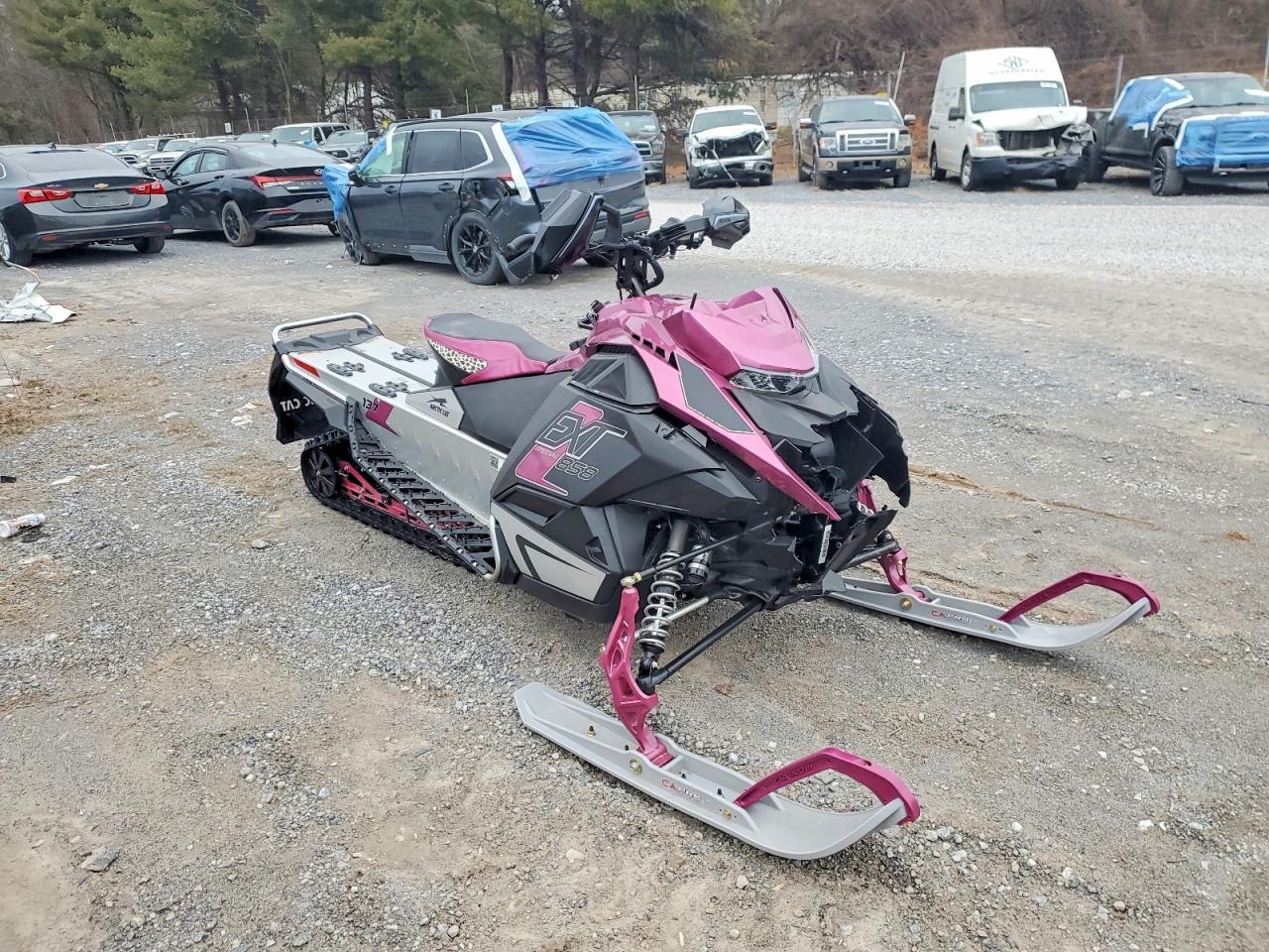 Salvage Arctic Cat Arctic Cat Image