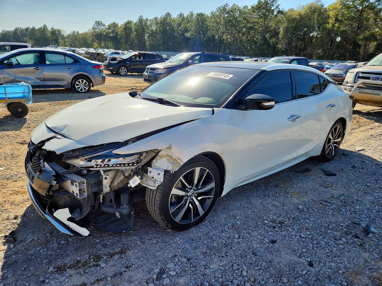Salvage Nissan Maxima Image