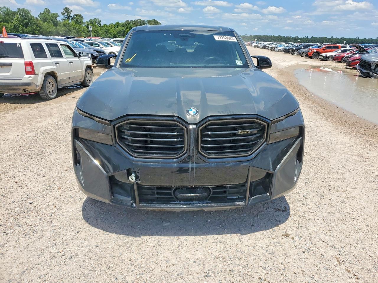 BMW X Series