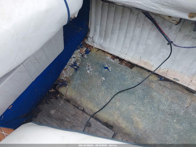 Ebko Marine 19