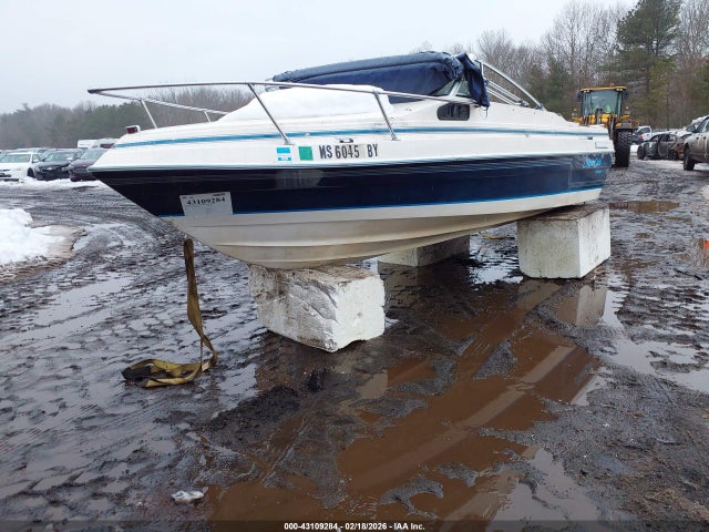 Ebko Marine 19