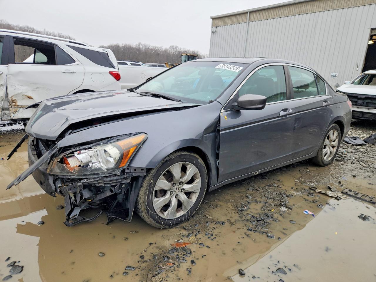 Salvage Honda Accord Image