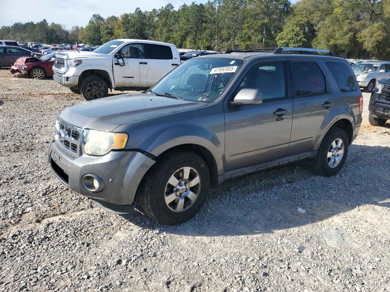 Salvage Ford Escape Image
