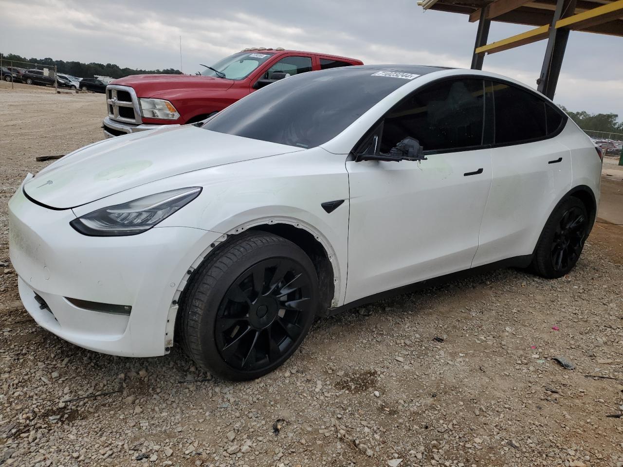 Salvage Tesla Model Y Image