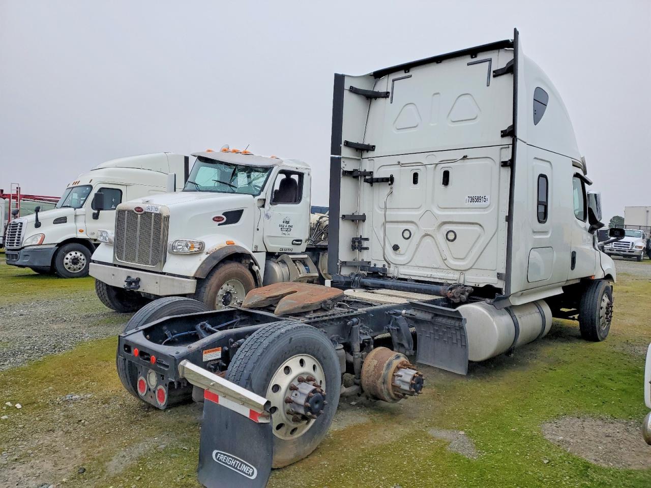 Freightliner Cascadia 1