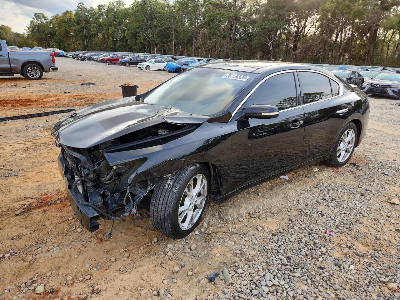 Salvage Nissan Maxima Image