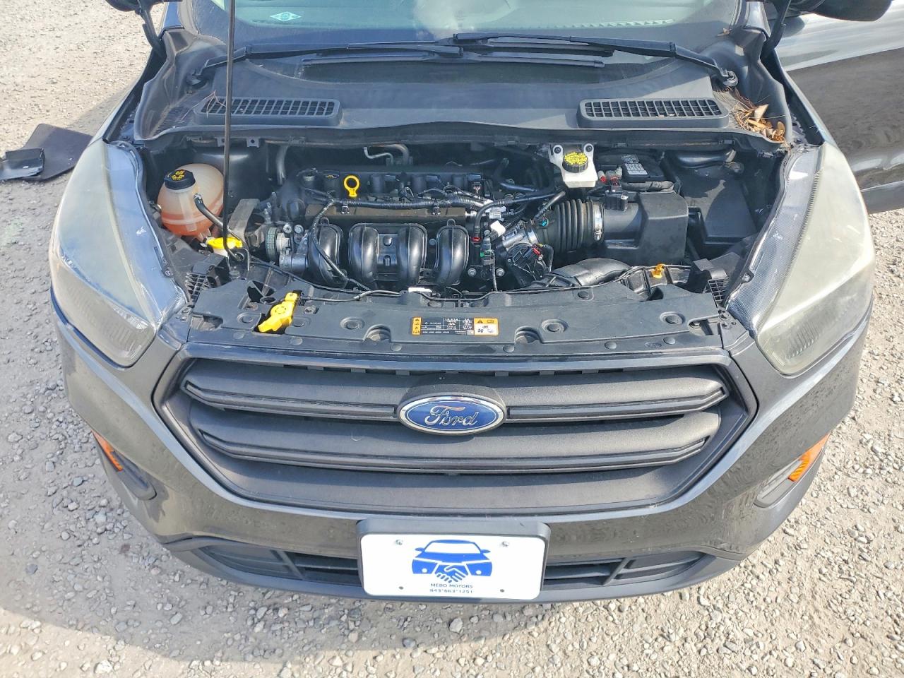 Ford Escape S