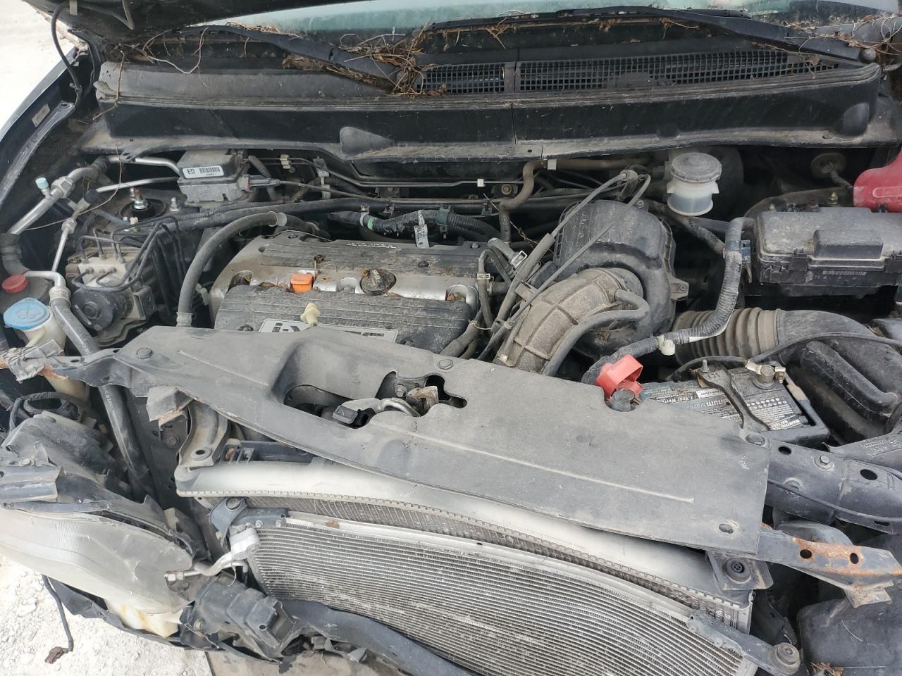 Honda Element Ex