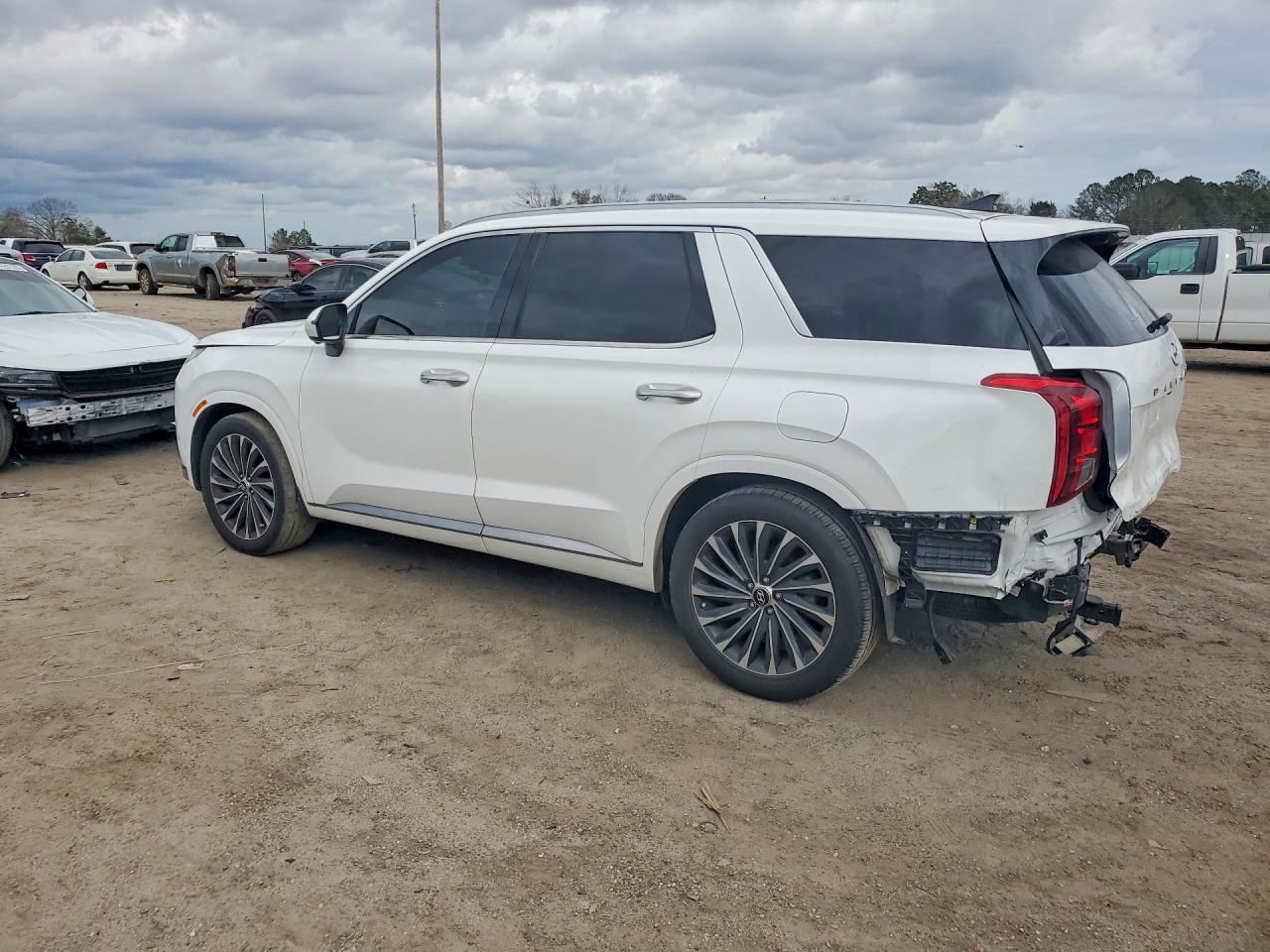Hyundai PALISADE Calligraphy