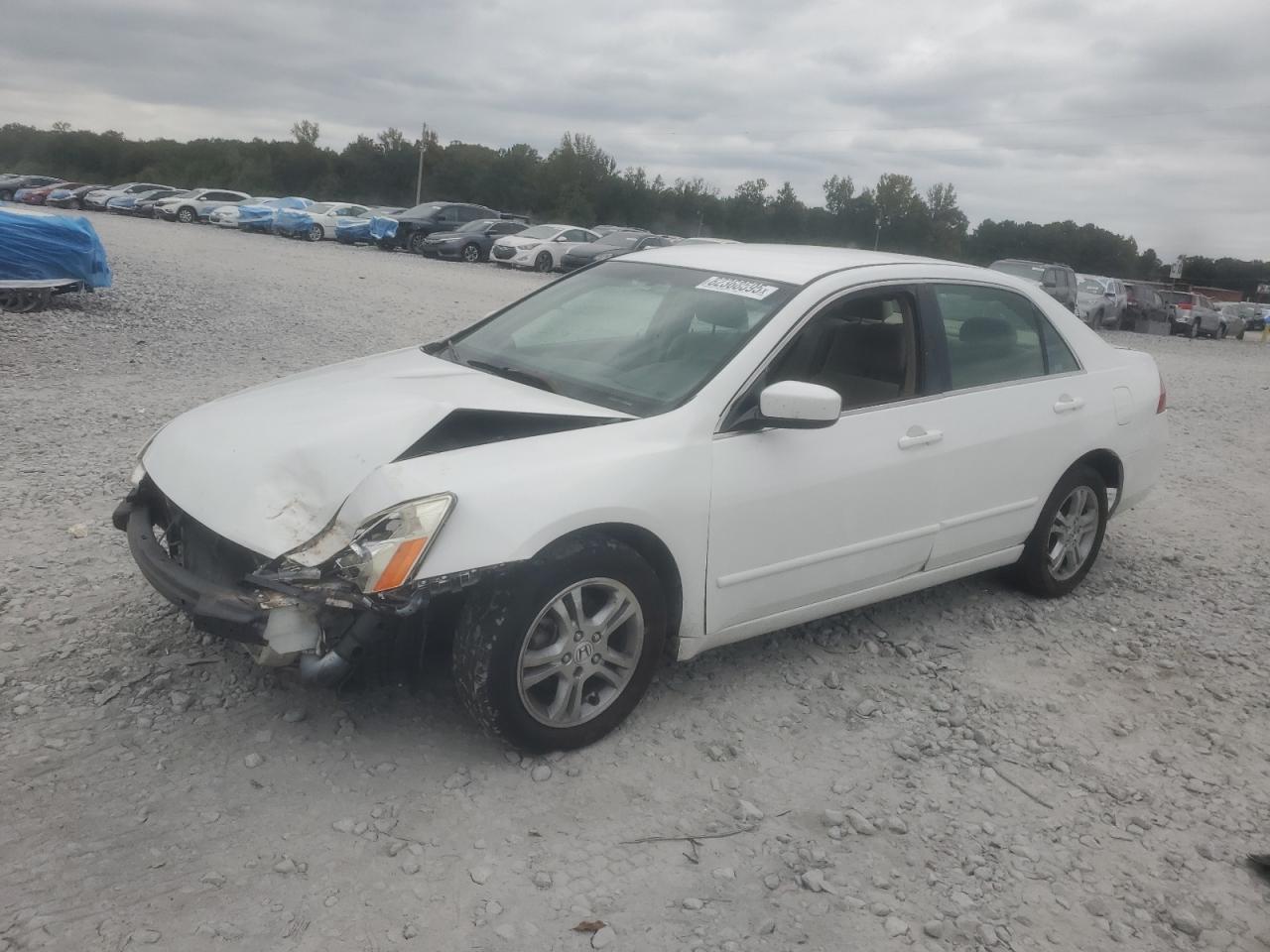 Salvage Honda Accord Image