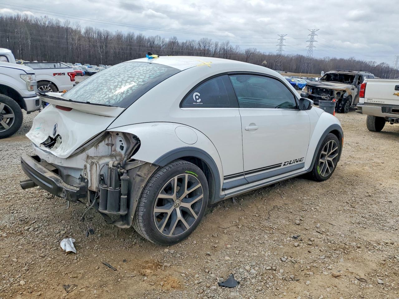 Volkswagen Beetle Dune