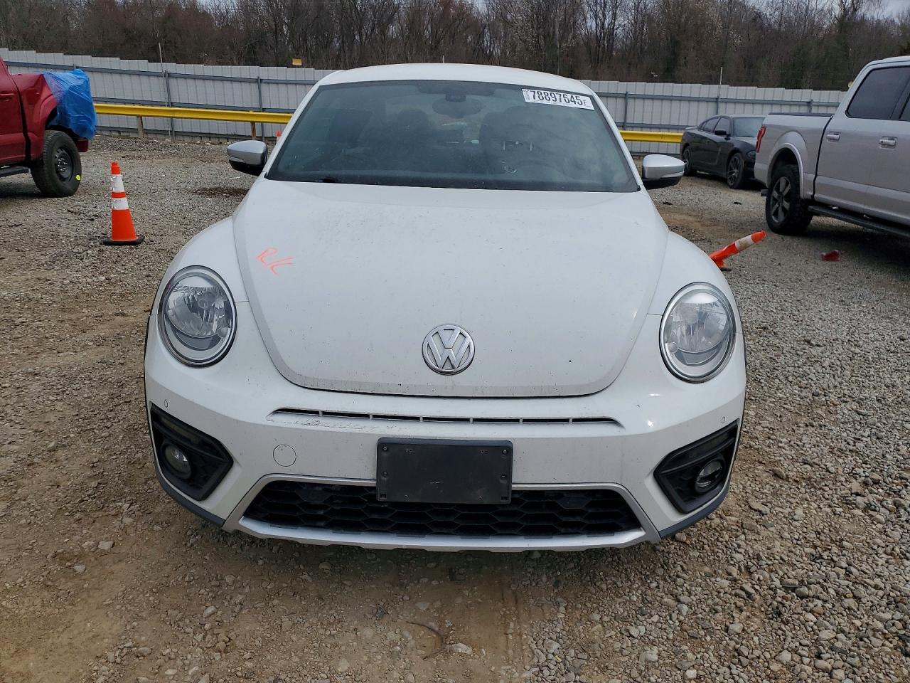 Volkswagen Beetle Dune