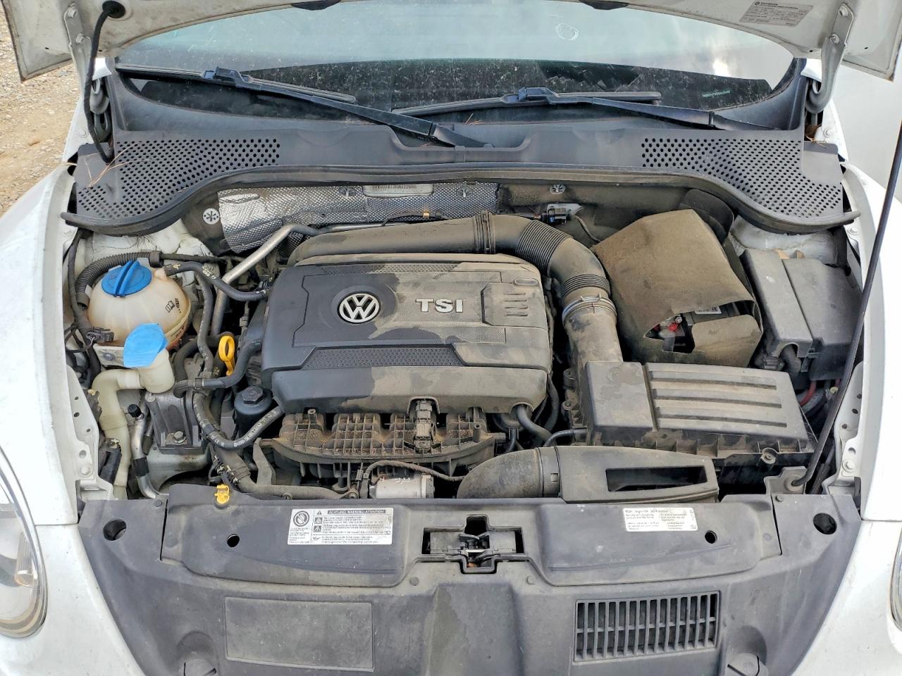 Volkswagen Beetle Dune