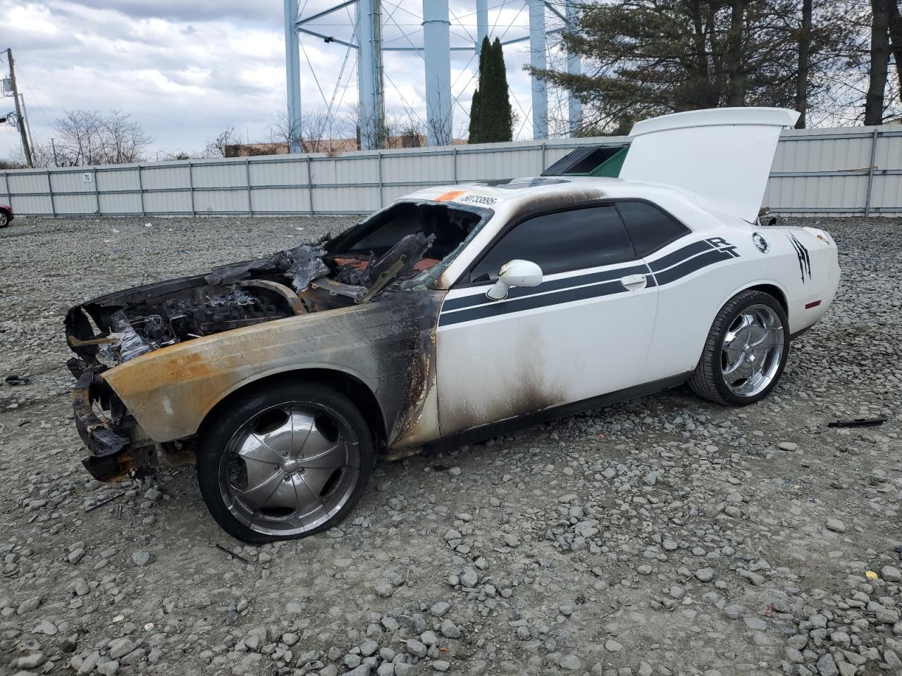Salvage Dodge Challenger Image