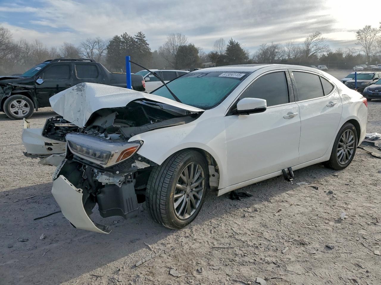 Salvage Acura TLX Image