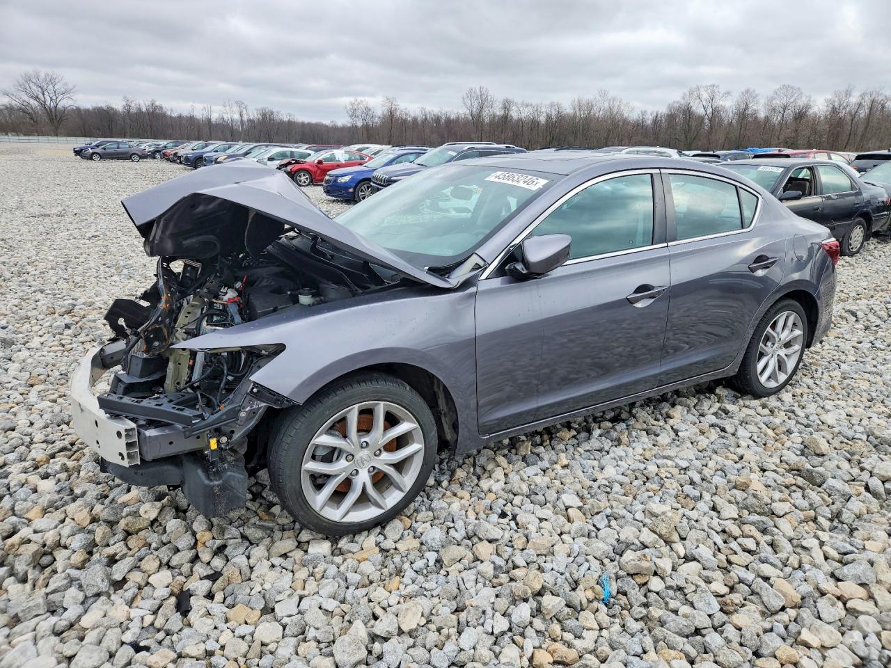 Salvage Acura ILX Image