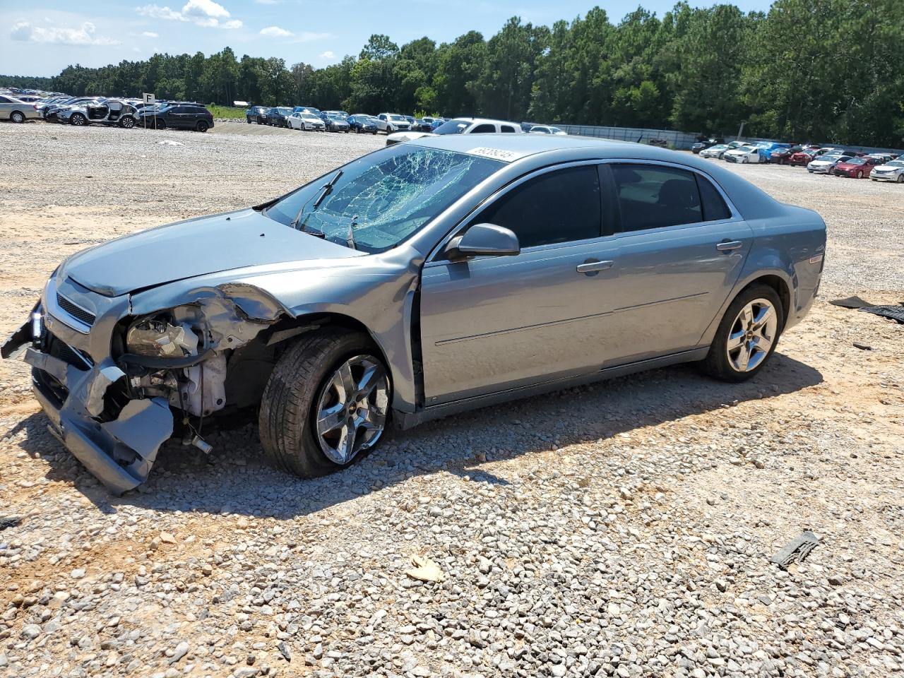 Salvage Chevrolet Malibu Image