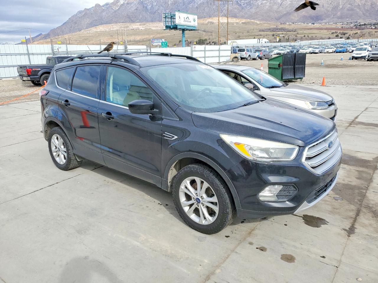 Ford Escape Se